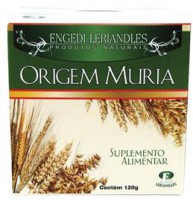 ORIGEM MURIA